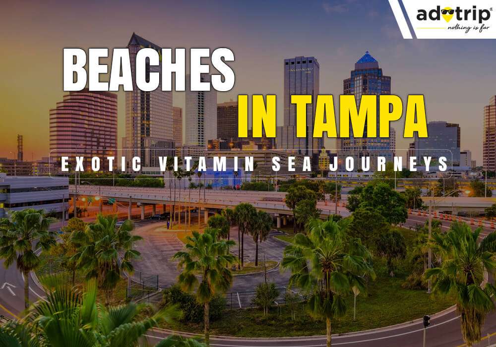 Beaches In Tampa